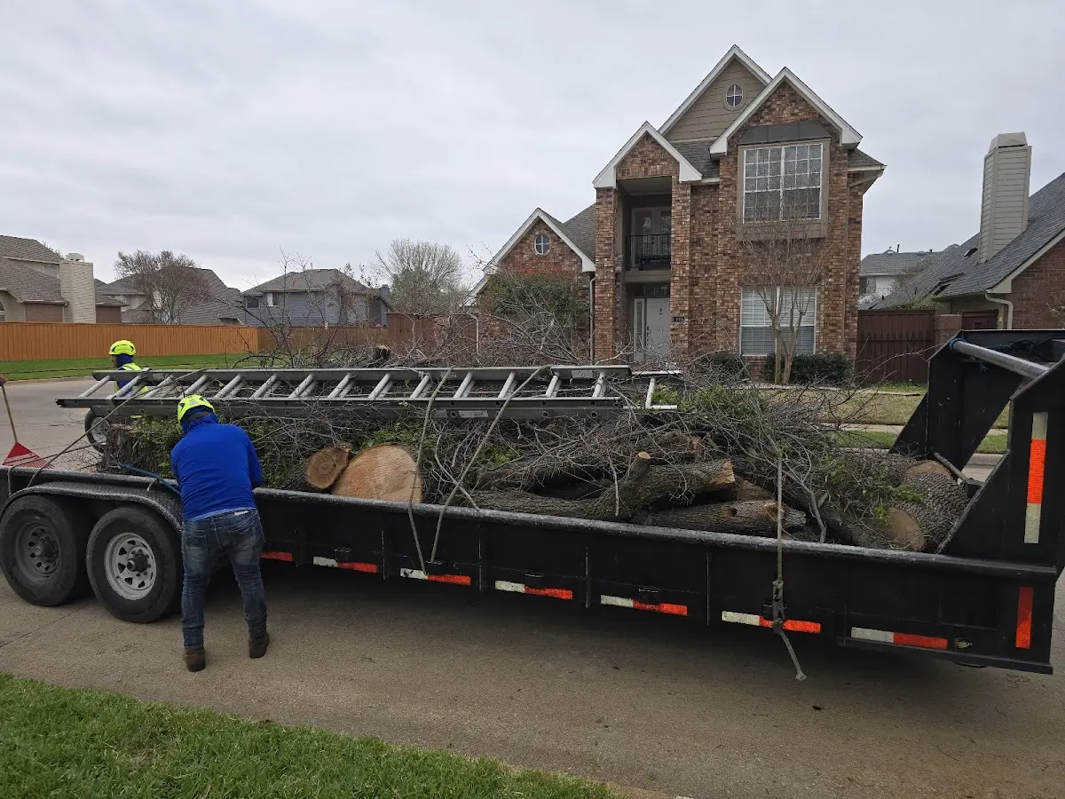 Expert Tree Removal with proper safety equipment in Kent City